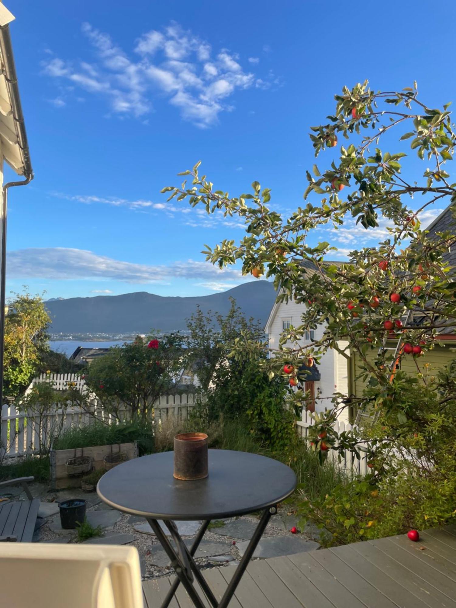 Koselig I Sentrum Appartamento Ålesund